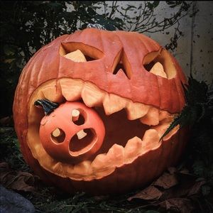 Meet your Posher, Conrad